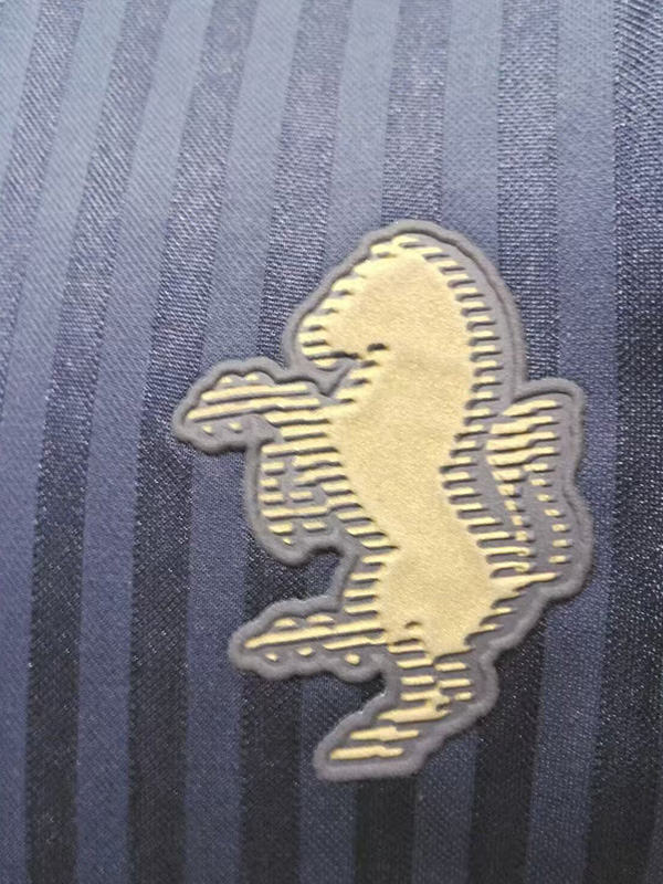 25-26 JUV Royal Blue Casual Edition Player Version Training shirts (宝蓝色)