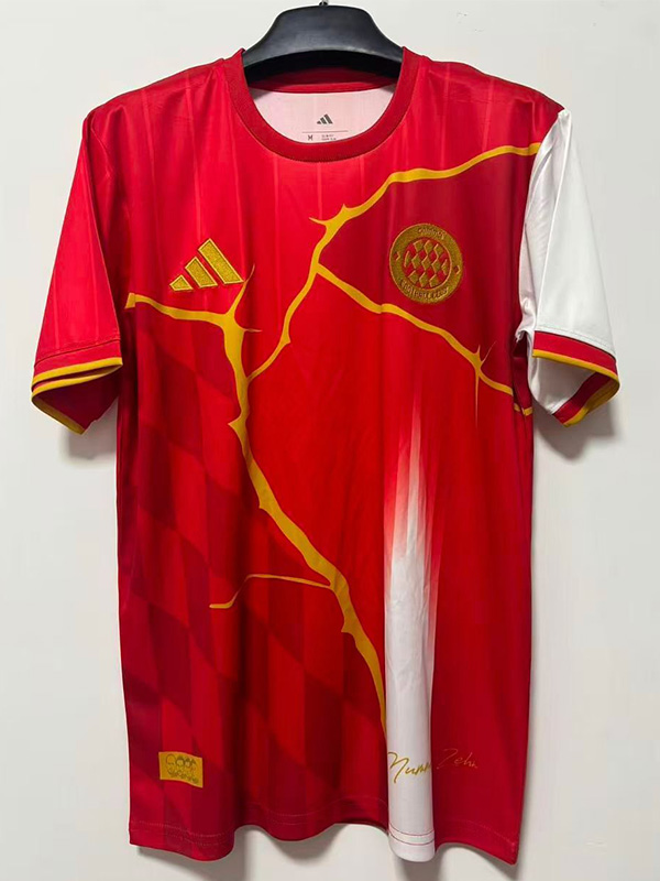 25-26 Bayern Red Special Edition Training shirts
