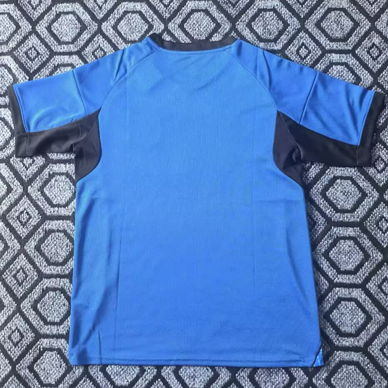 25-26 Japan Blue Special Edition Training shirts (三叶标)