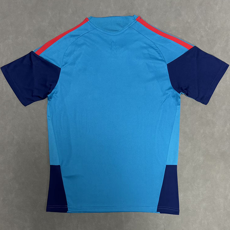 26-27 Spain Blue Training shirts