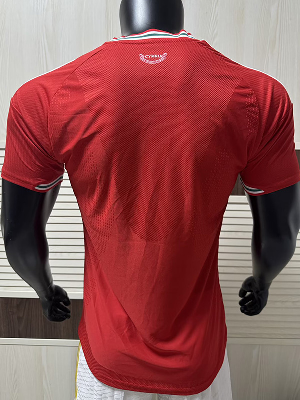 26-27 Wales Home Player Version Soccer Jersey