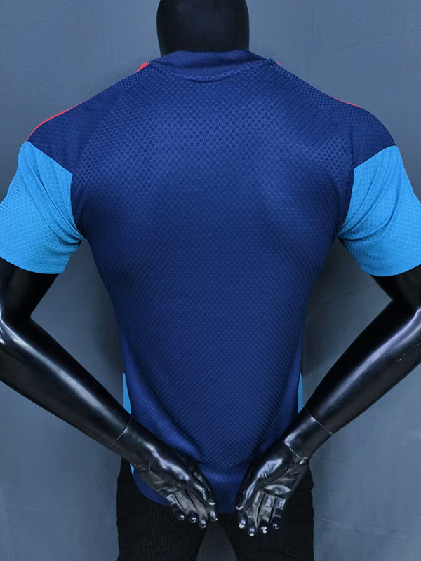 26-27 Spain Royal blue Player Version Training shirts