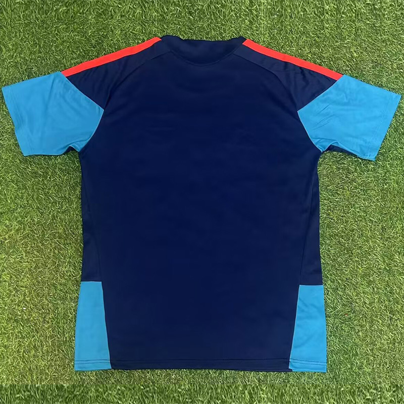 26-27 Spain Royal blue Training shirts