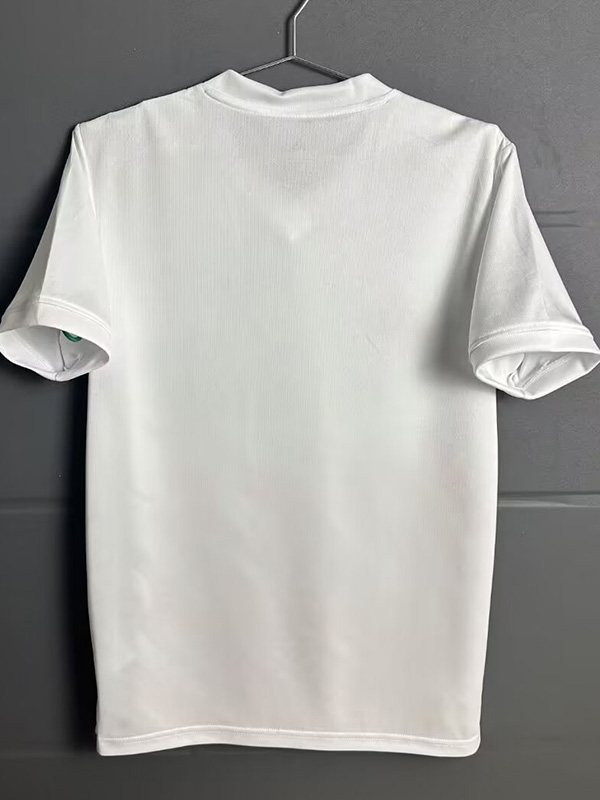 25-26 Benfica Red White Special Edition Training shirts (火焰版)