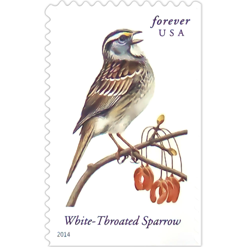 Songbirds