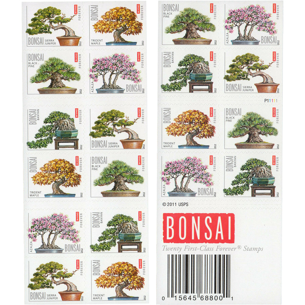100PCS-Bonsai Tree