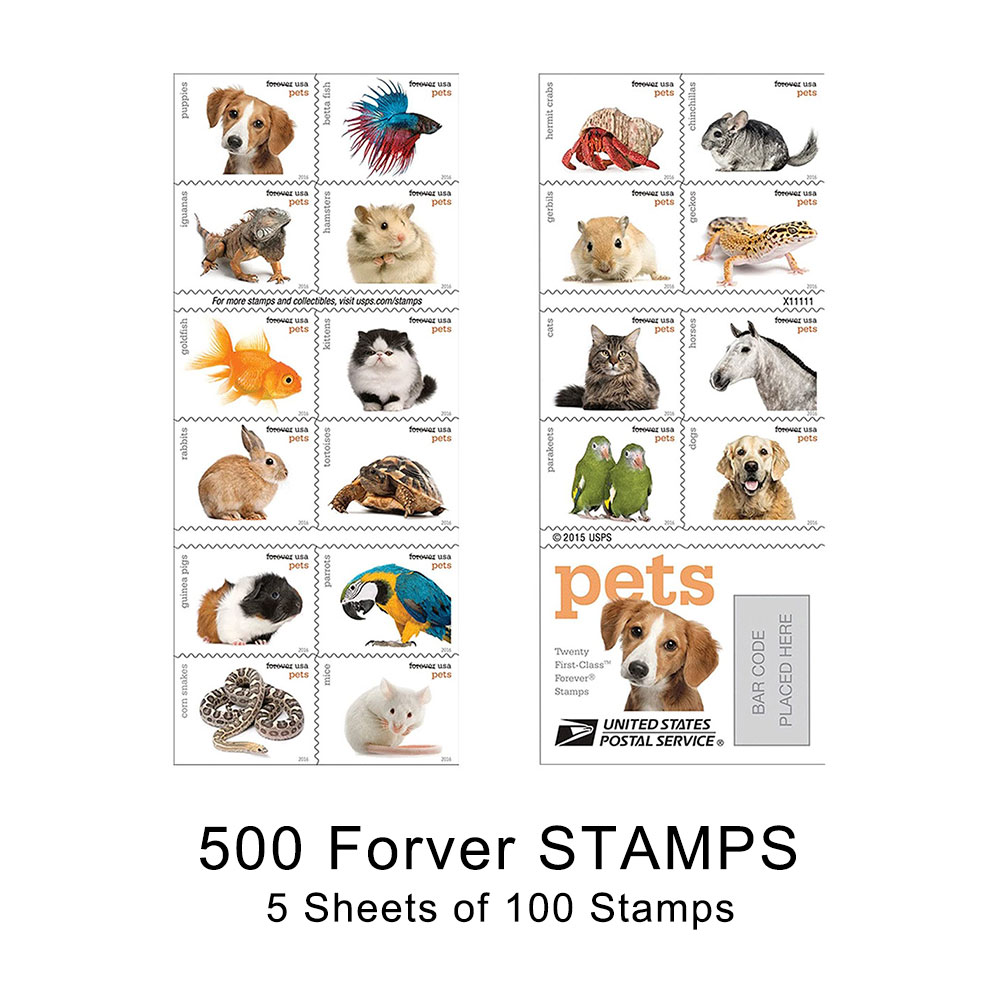 300PCS-Pets