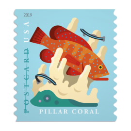 100PCS-Coral Reefs