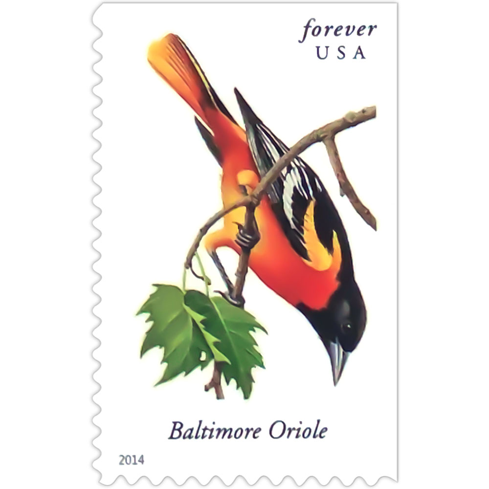 Songbirds
