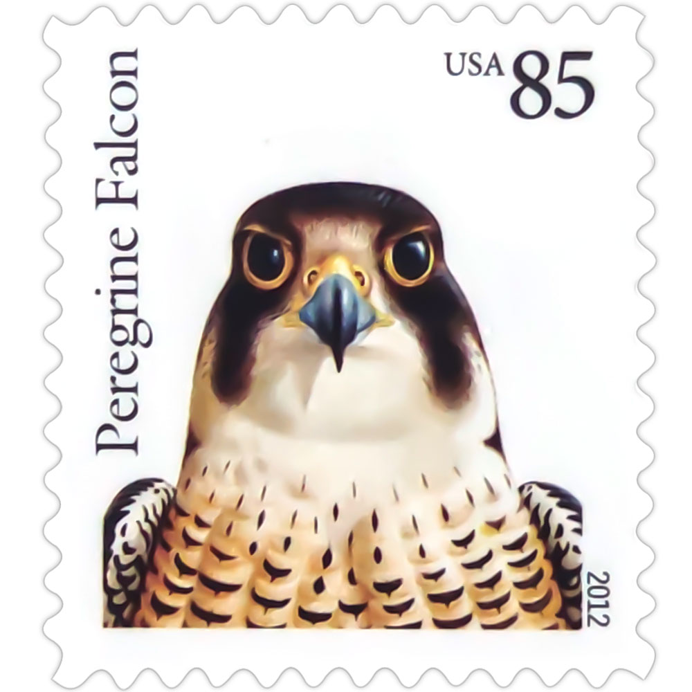 Birds of Prey