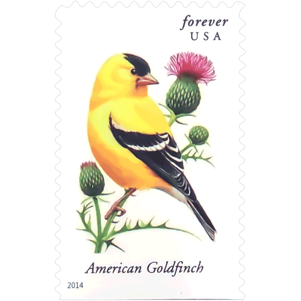 Songbirds