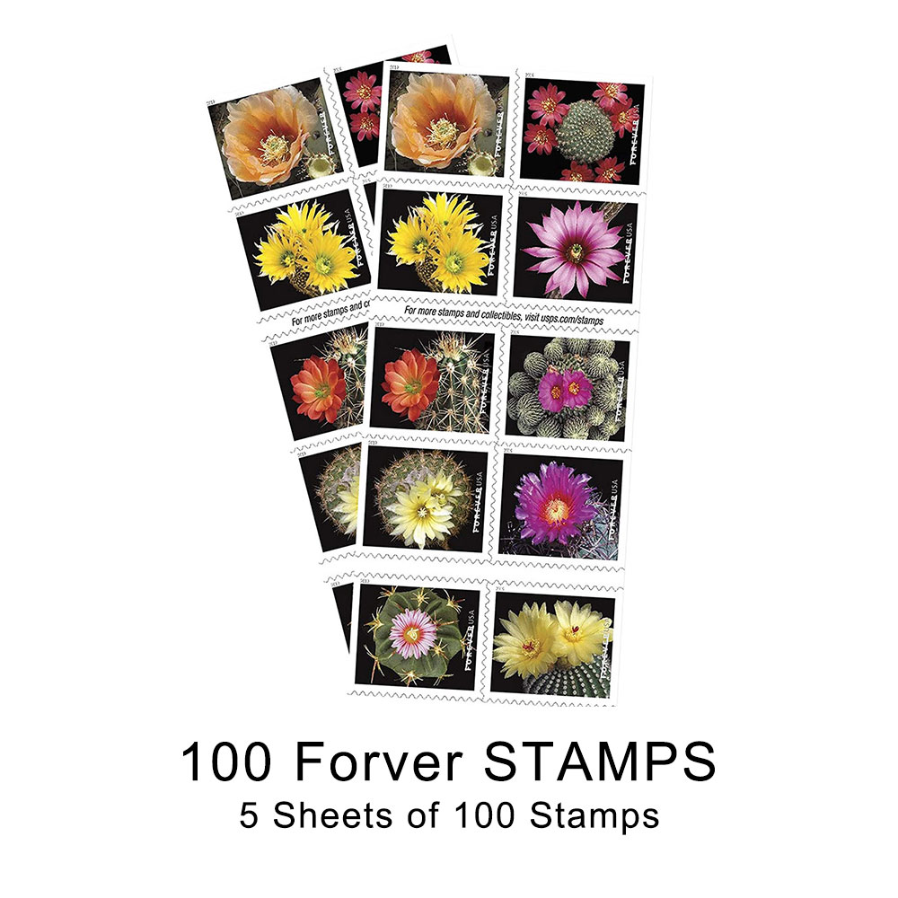 100PCS-Cactus Flower