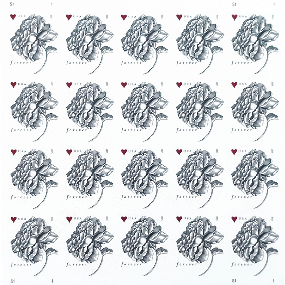 Vintage Rose 2015 - 5 Sheets / 100 Pcs