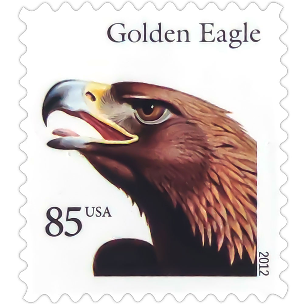 Birds of Prey