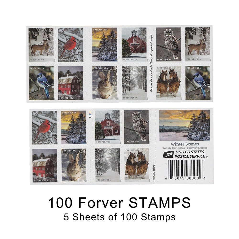 300PCS-Winter 2020