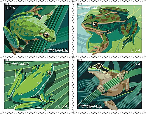 100PCS-Frogs