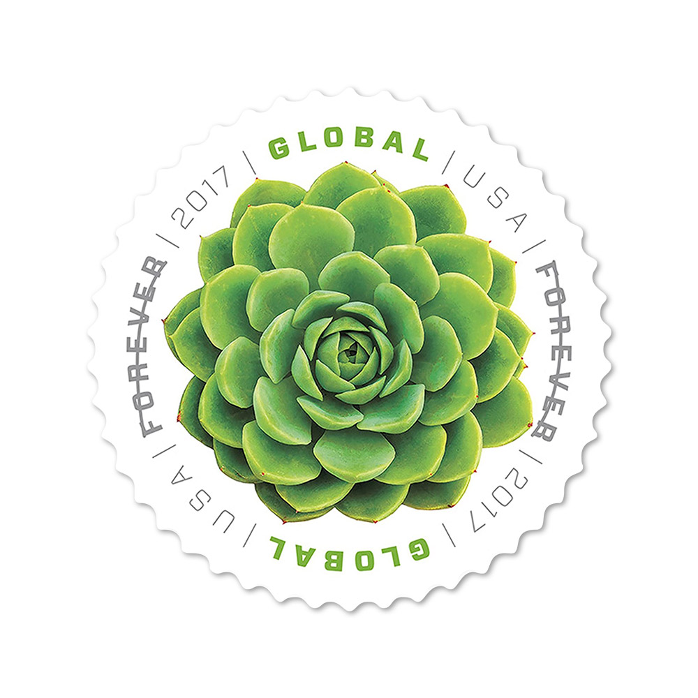 100PCS-2017 Global