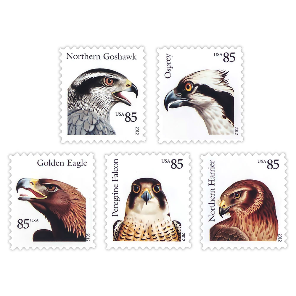 Birds of Prey
