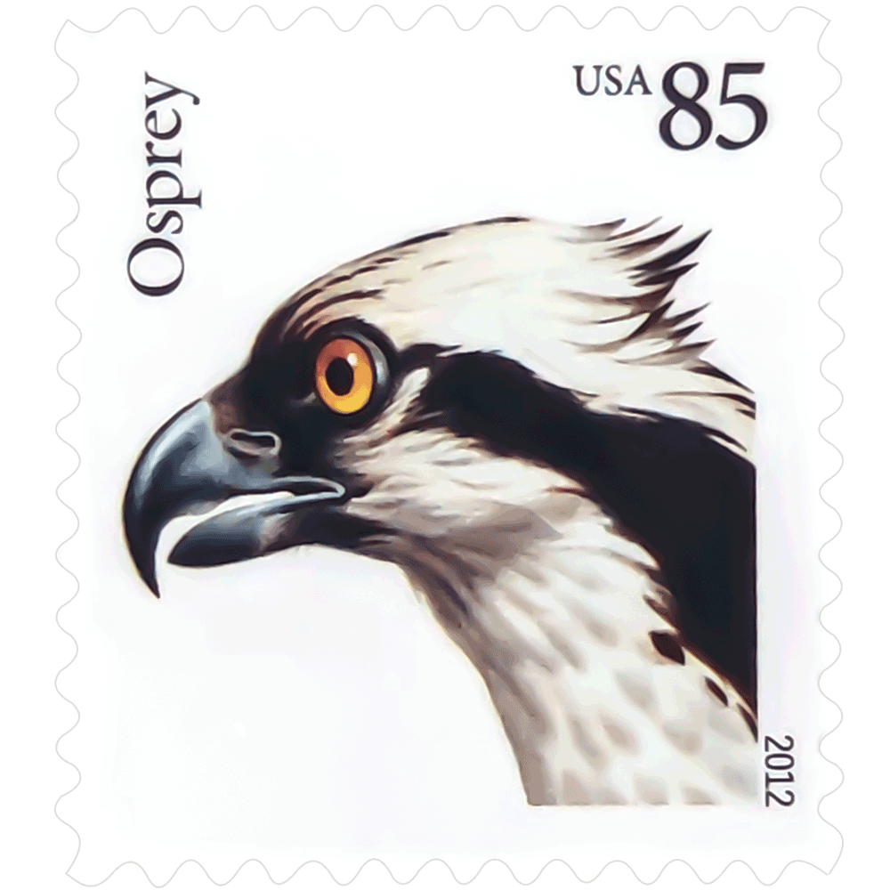 Birds of Prey