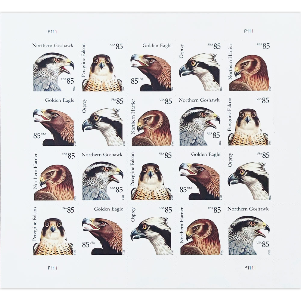 Birds of Prey