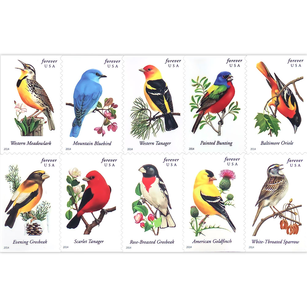 Songbirds