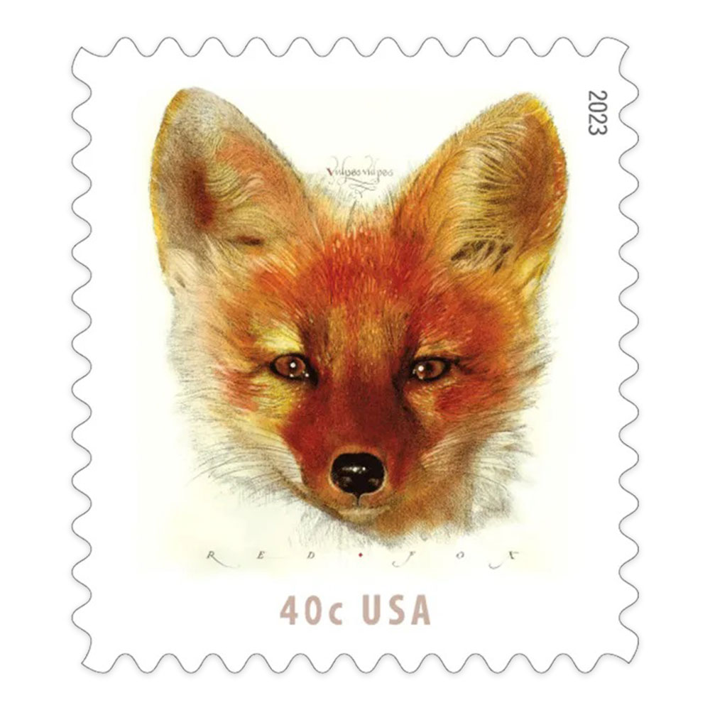Red Fox 2023 - 5 Sheets / 100 Pcs