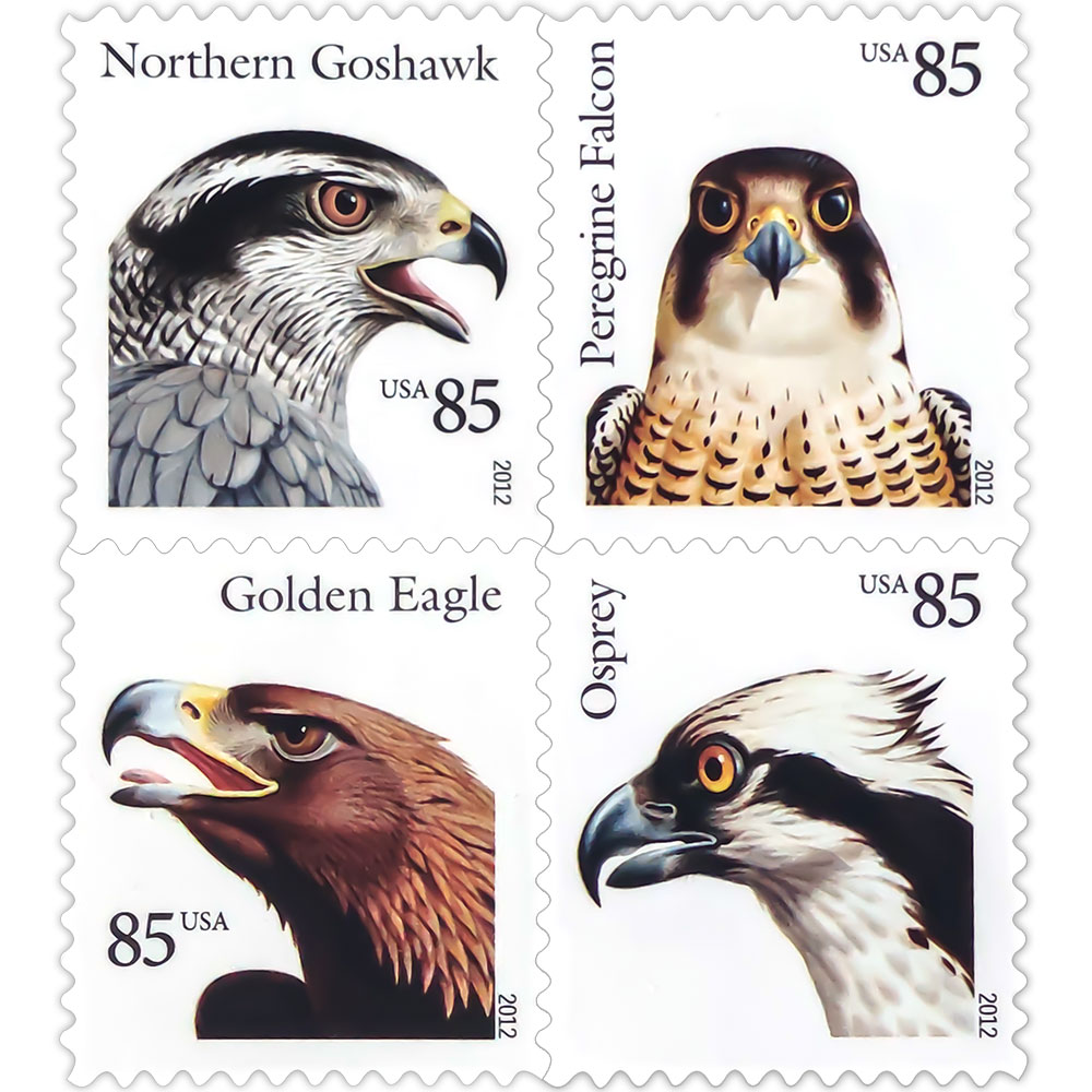 Birds of Prey