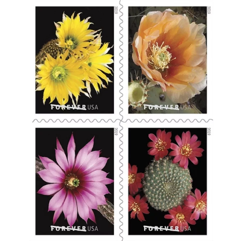 100PCS-Cactus Flower