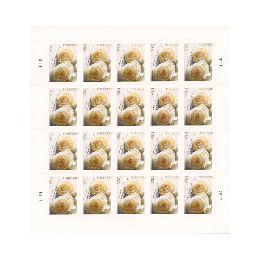 100PCS-Wedding Roses 2011