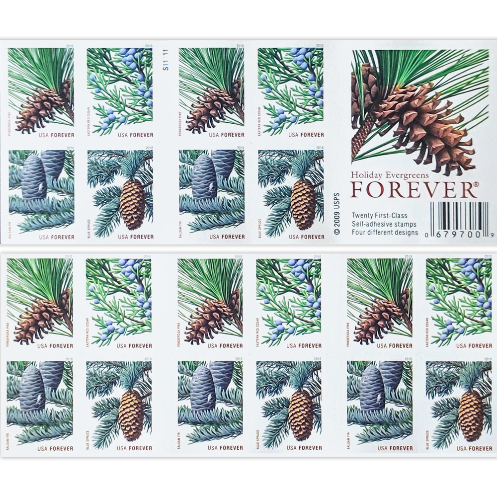 Holiday Evergreens