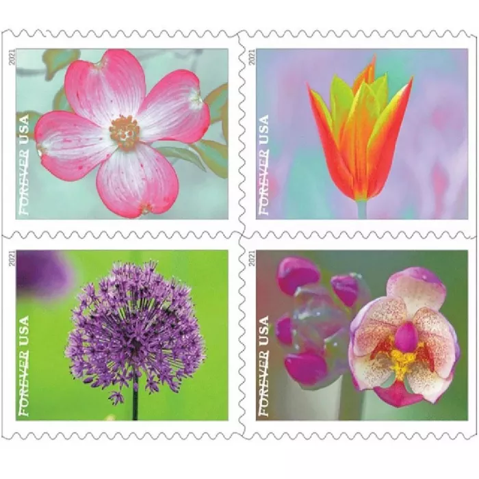 Garden Beauty-300 PCS -11 Styles Hot Sale