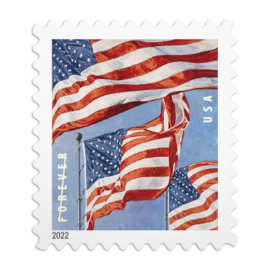 500-10000PCS-U.S. Flags 2022