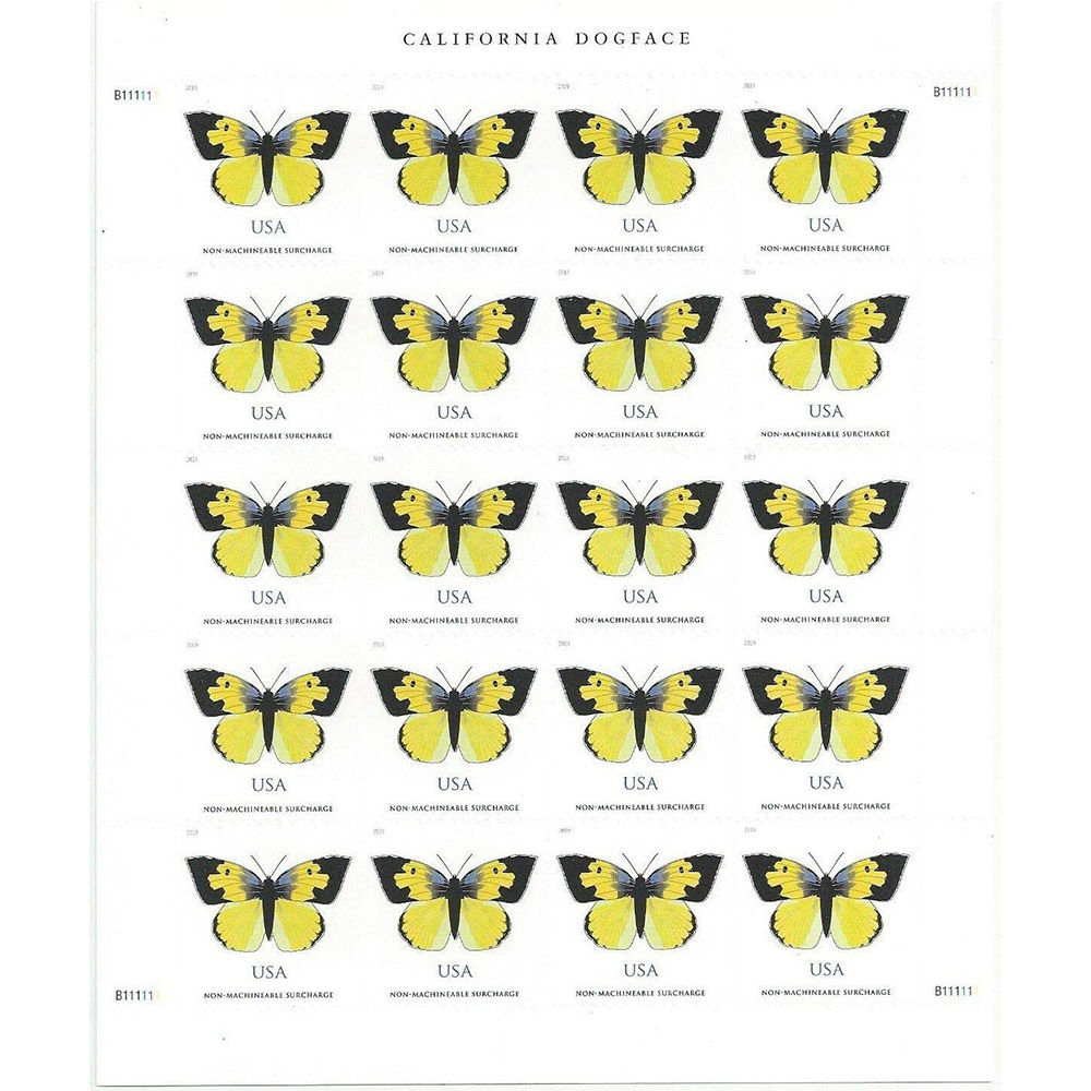 100PCS-Butterfly