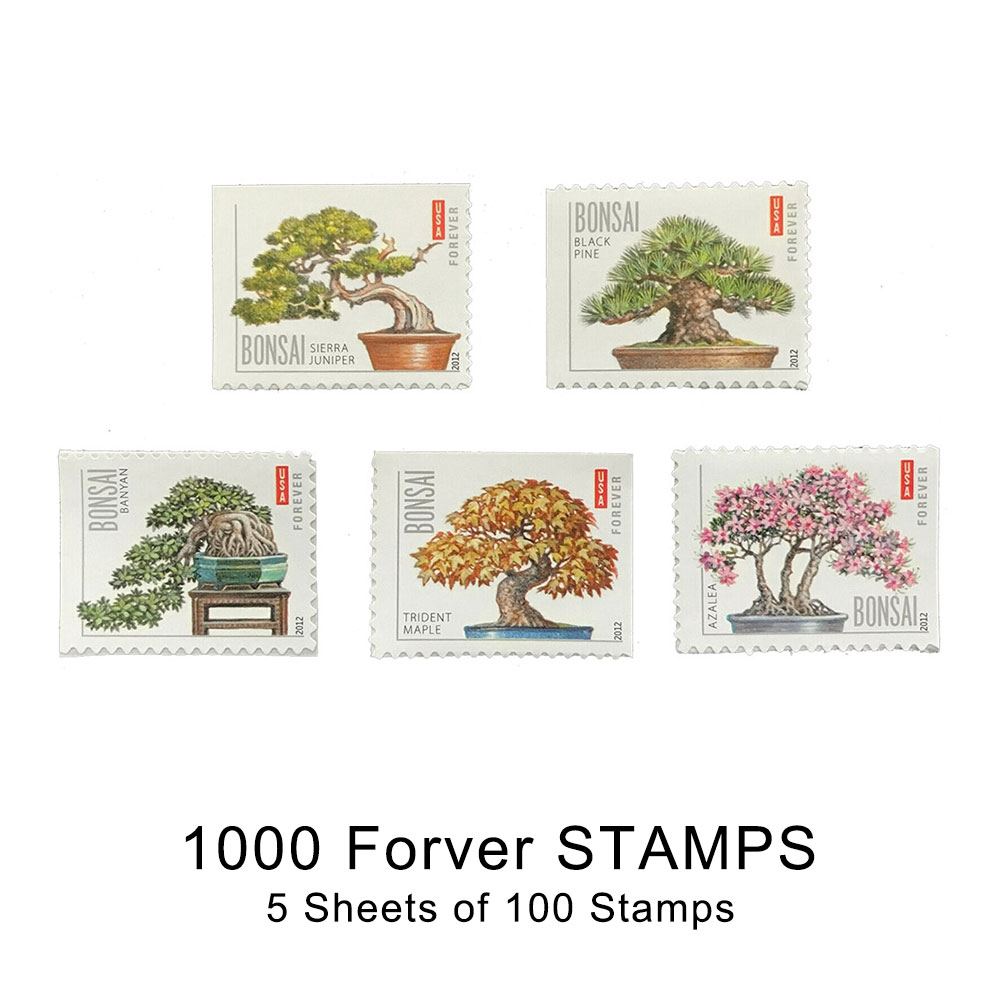 100PCS-Bonsai Tree
