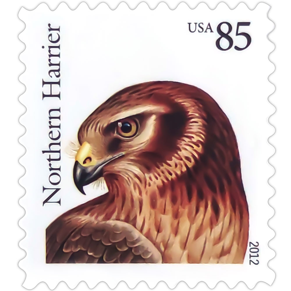 Birds of Prey