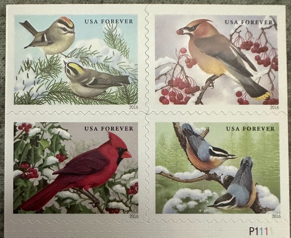 Songbirds in Snow 2016 - 5 Sheets / 100 Pcs