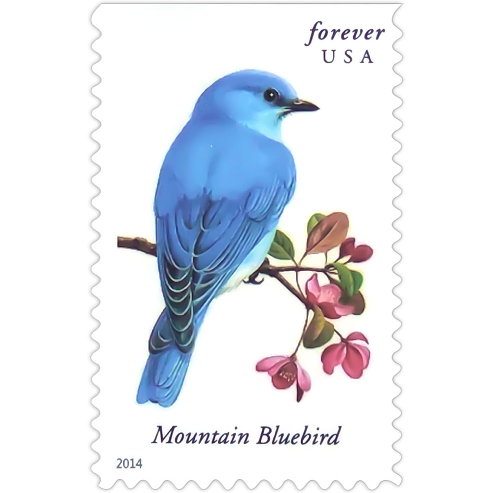 Songbirds