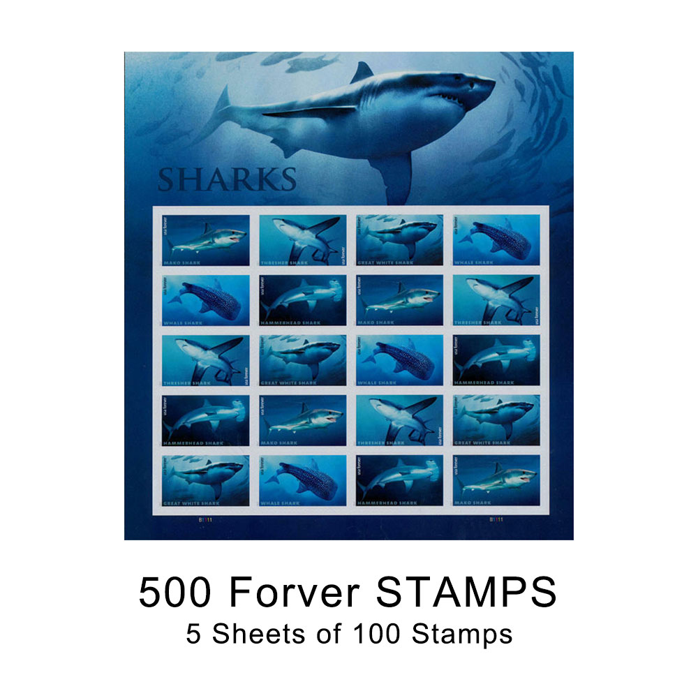 100PCS-SHARKS 2017