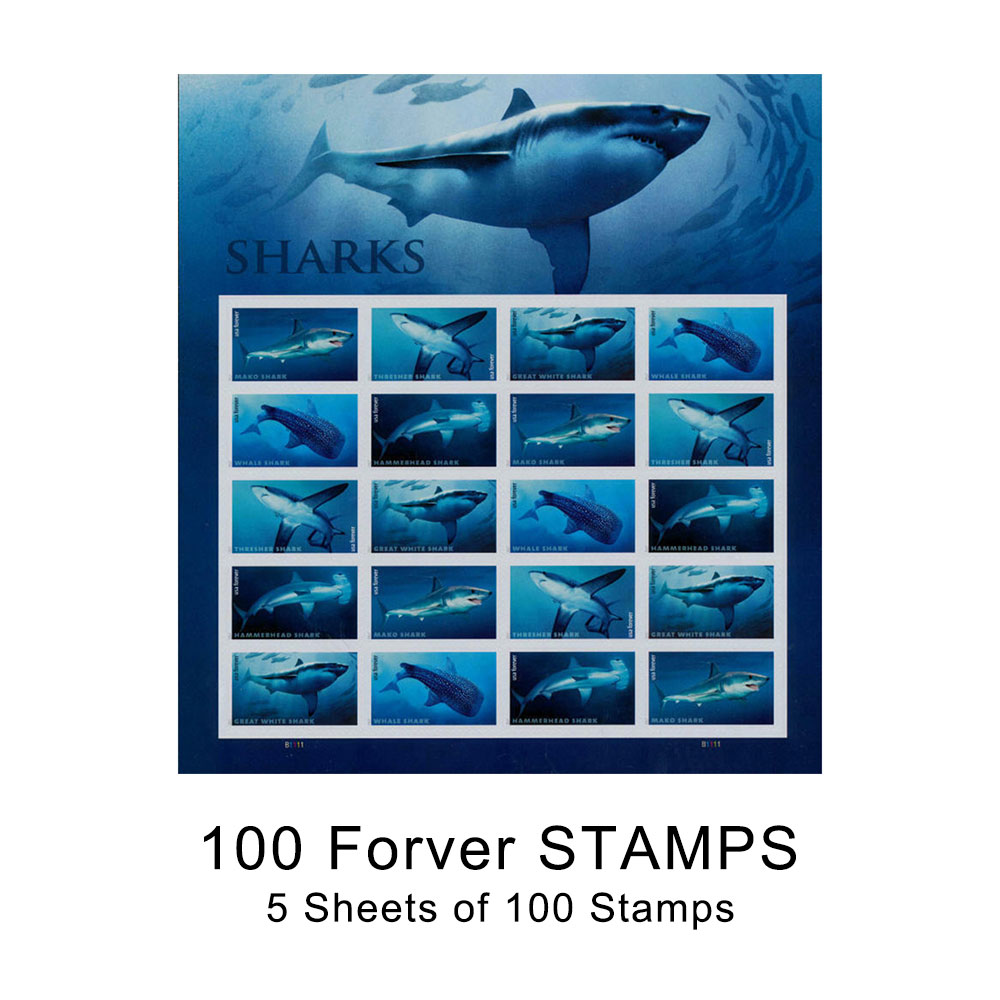 100PCS-SHARKS 2017