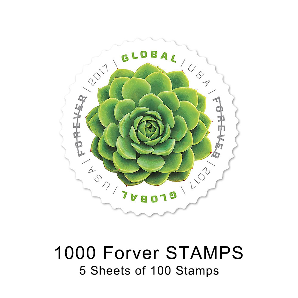 100PCS-2017 Global