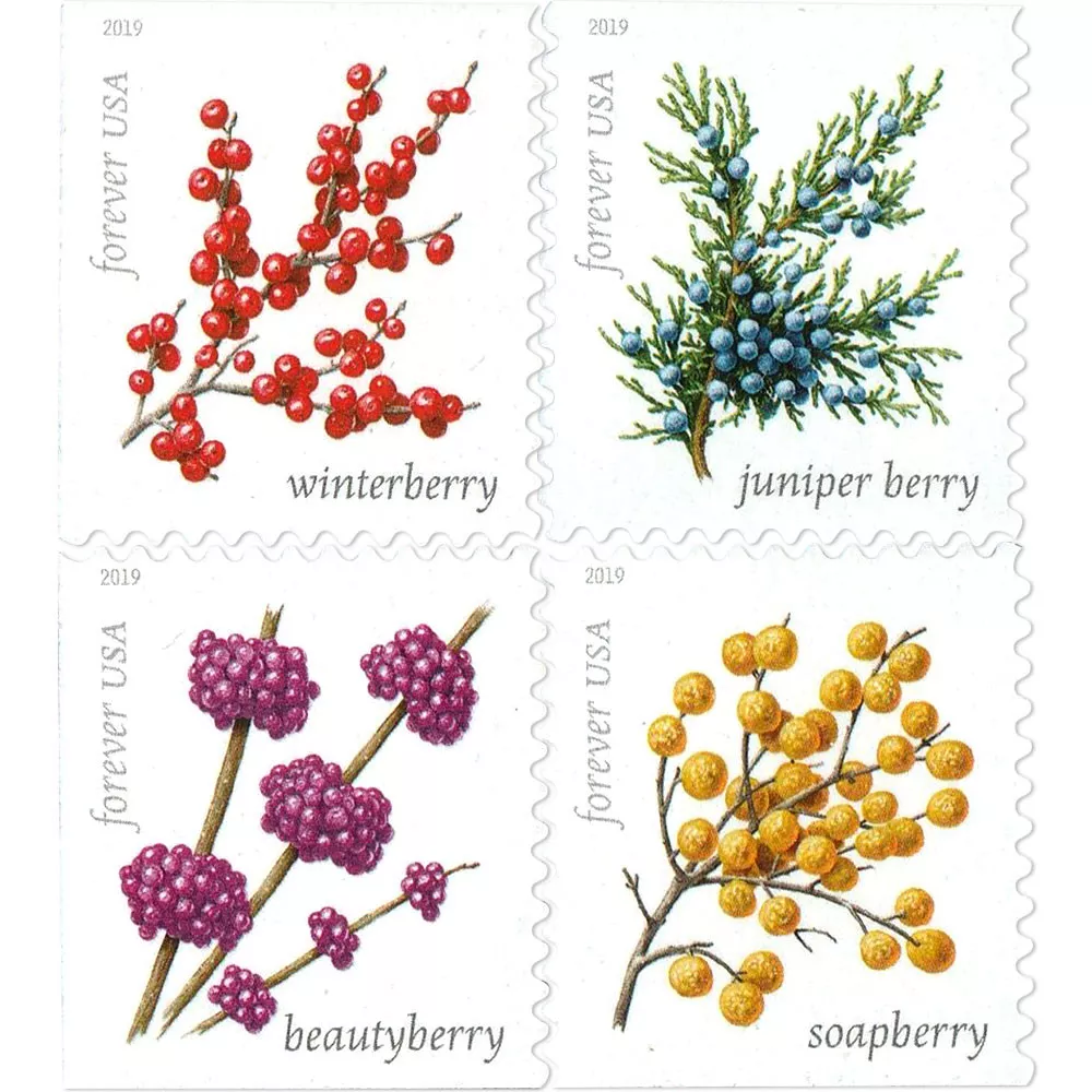 100PCS-Winter Berries