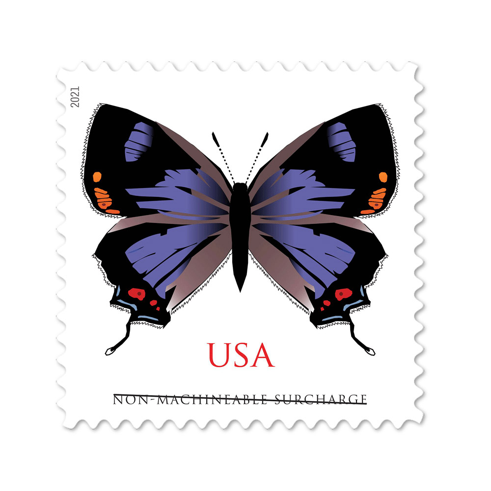 100PCS-Colorado Hairstreak