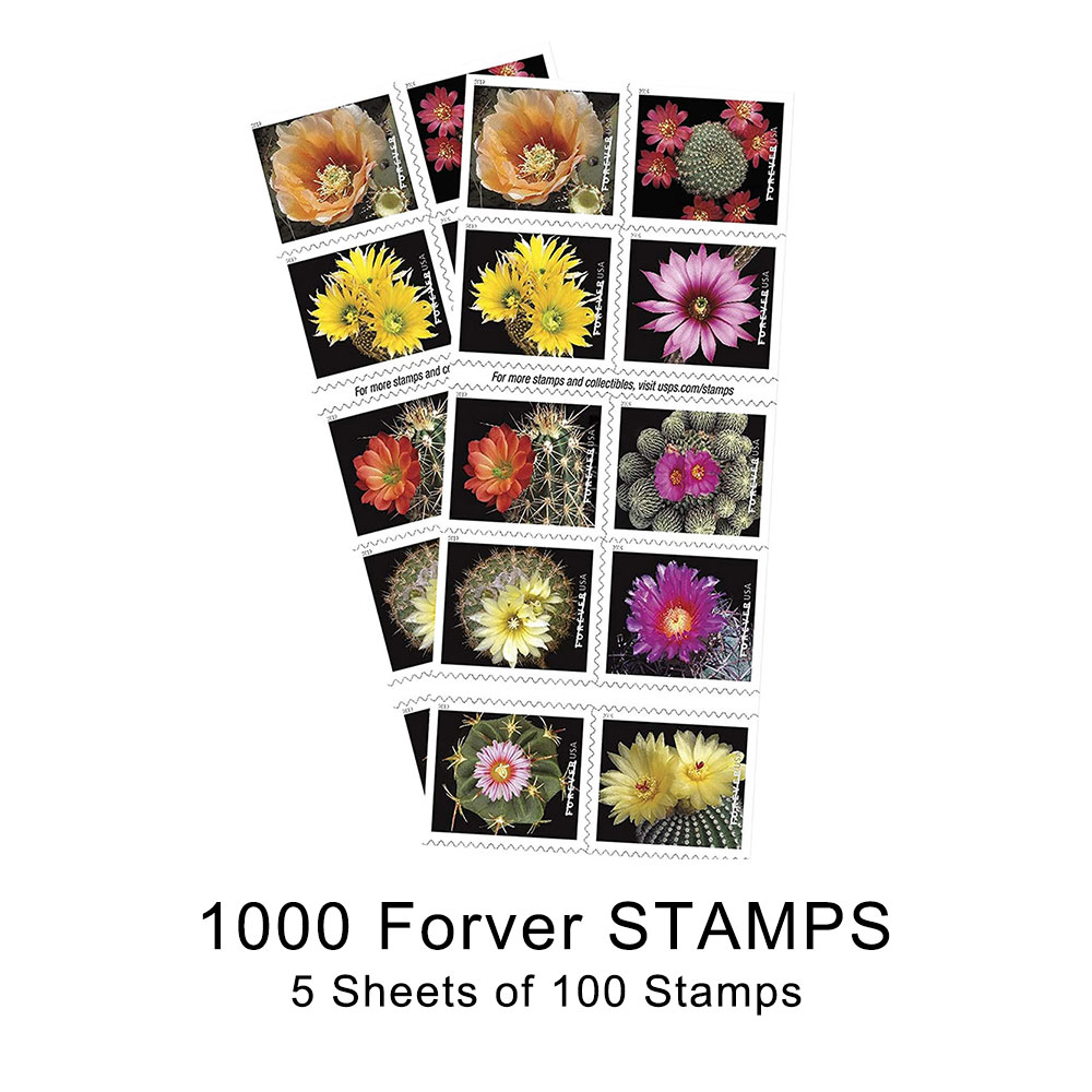 100PCS-Cactus Flower
