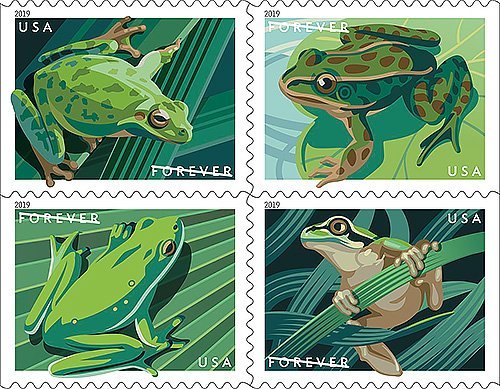 100PCS-Frogs