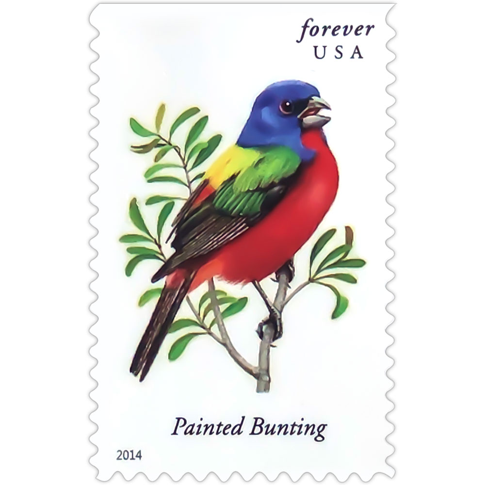 Songbirds