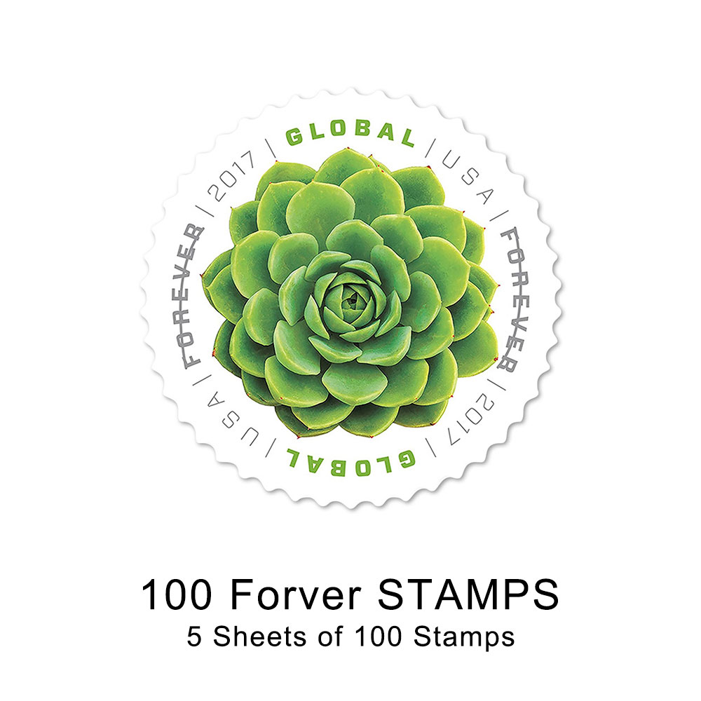100PCS-2017 Global