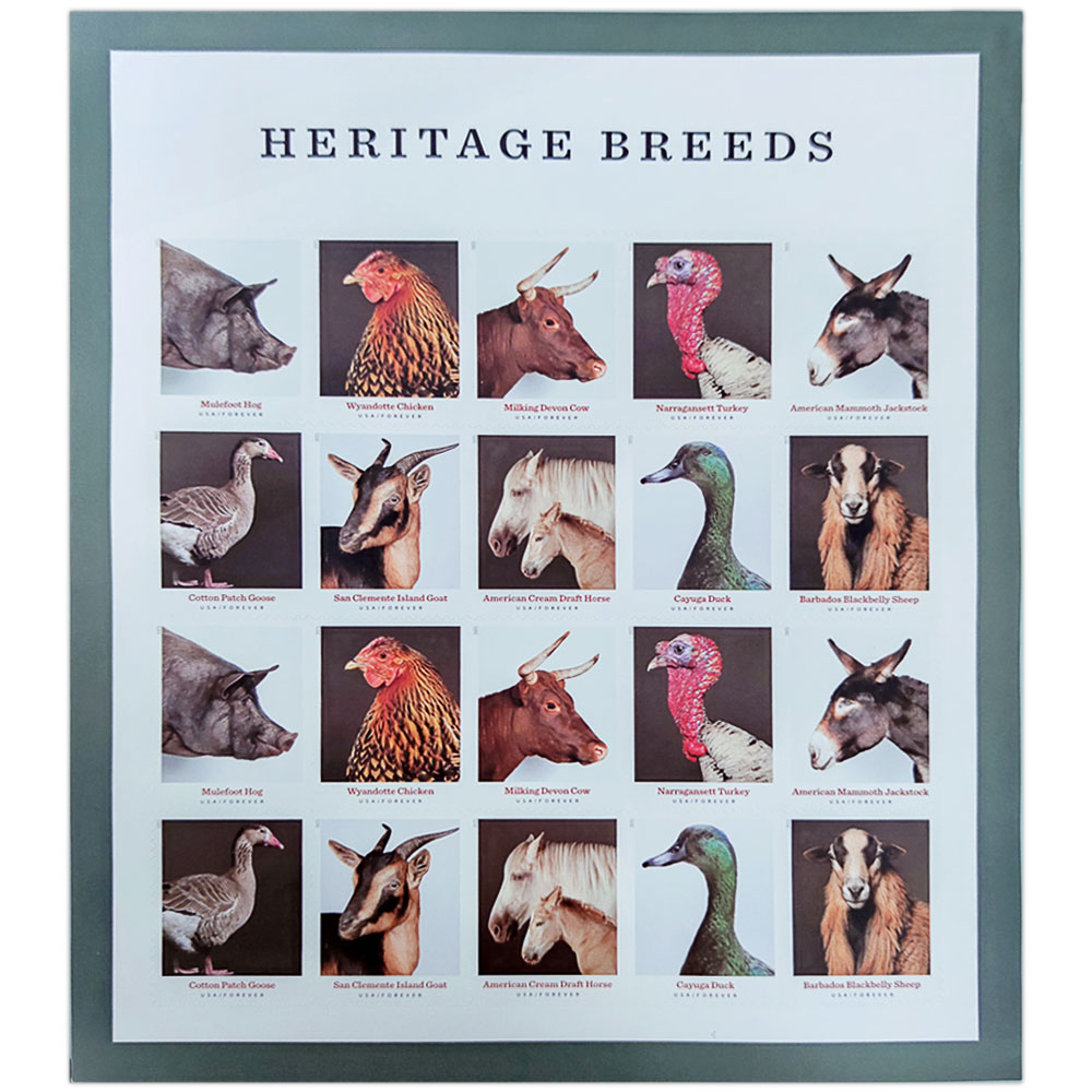 Heritage Breeds 2021 - 5 Sheets / 100 Pcs
