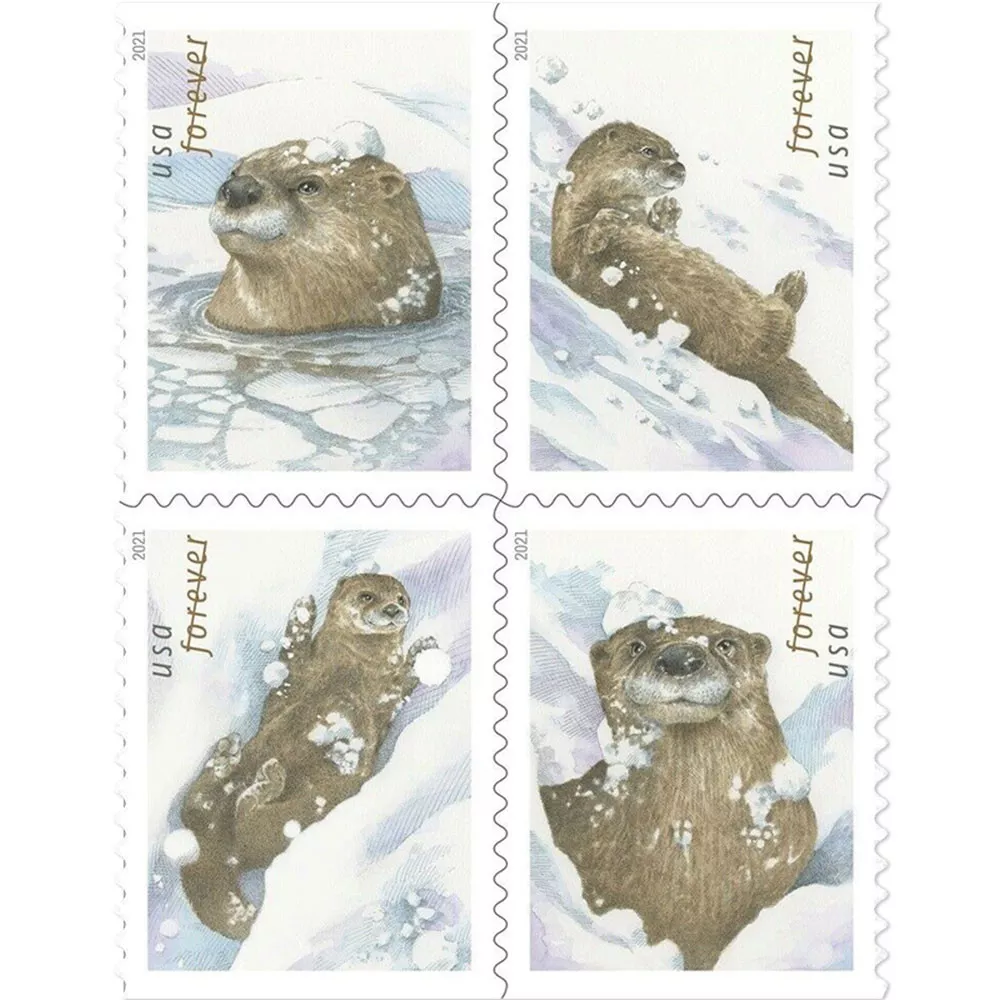 100PCS-Otters in Snow
