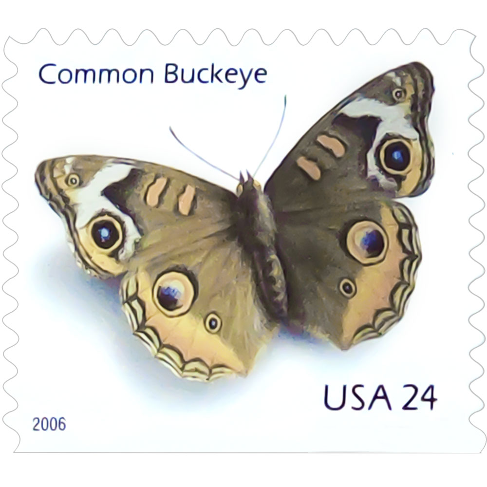 Common Buckeye 2006 - 10 Sheets / 100 Pcs