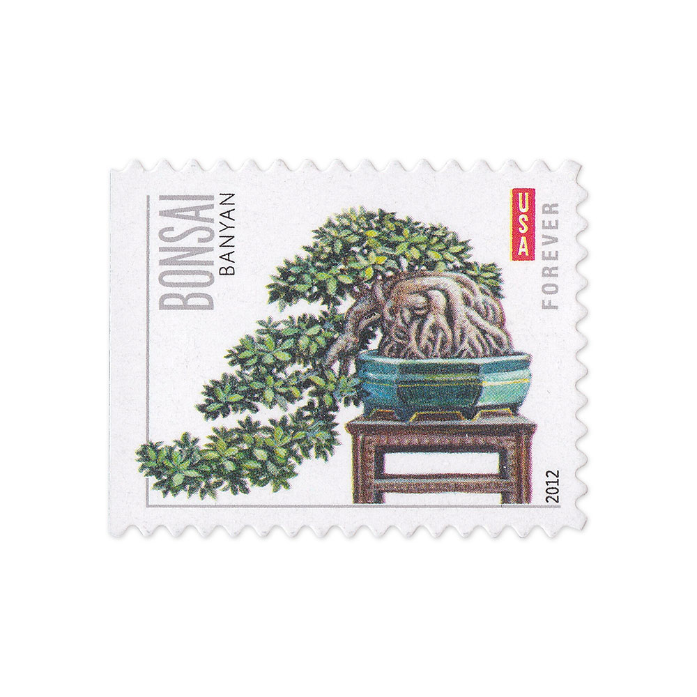 100PCS-Bonsai Tree